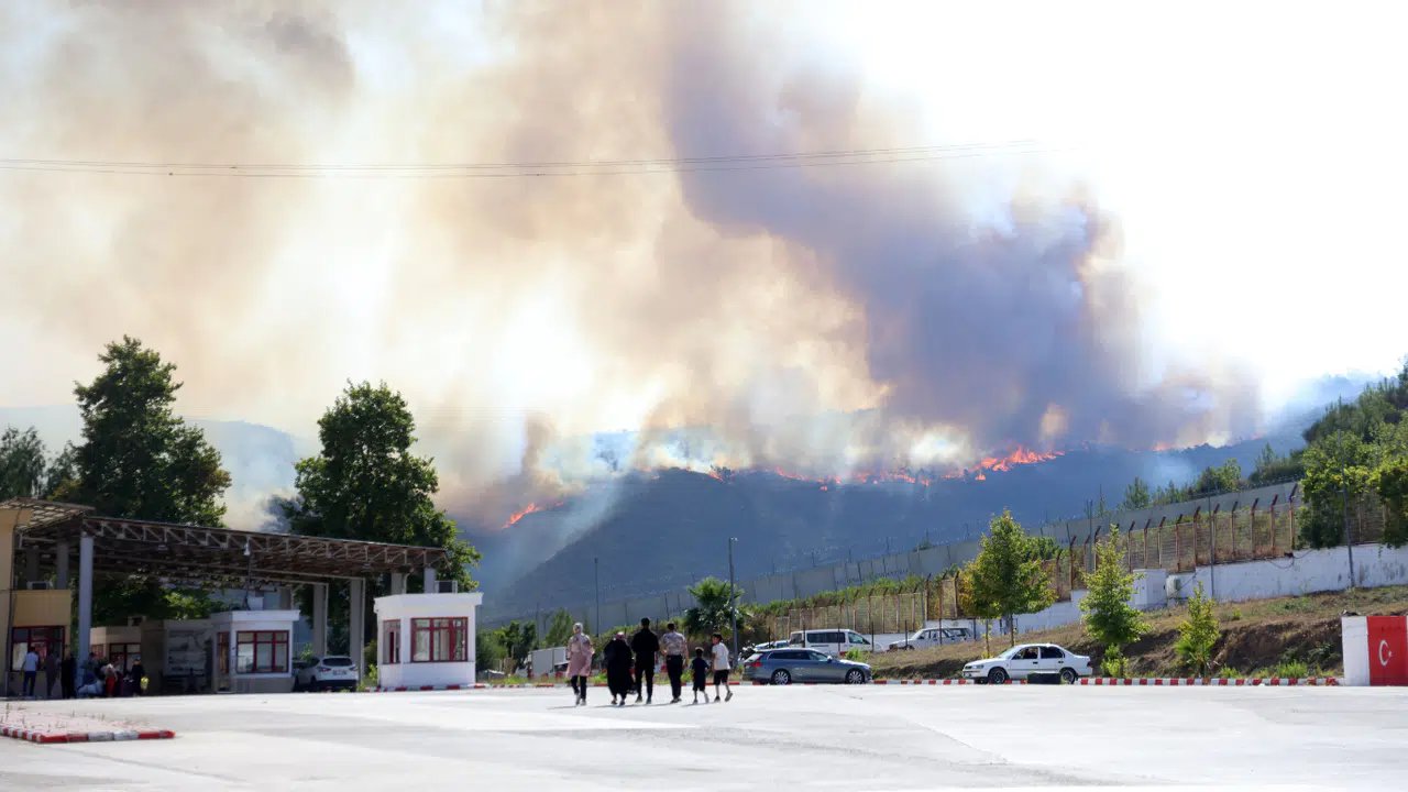 Türkiye - Suriye Sınırının Sıfır Noktasında Orman Yangını
