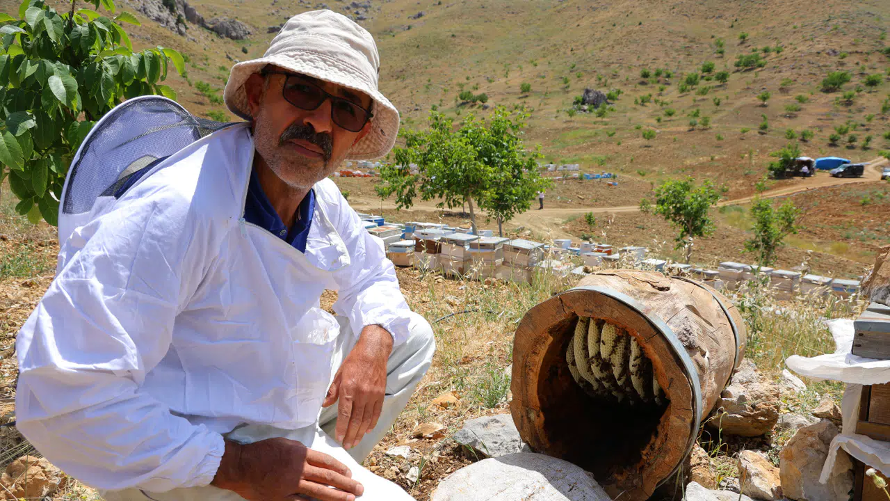 Kahramanmaraş’ta Ağaç Kütüğünde Doğal Bal