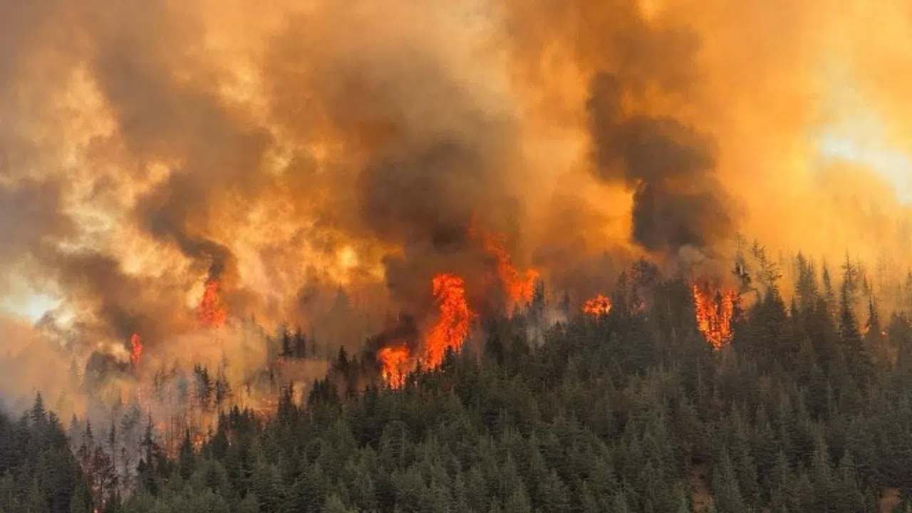 Göksun’da Orman Yangını 3. Gününde Devam Ediyor