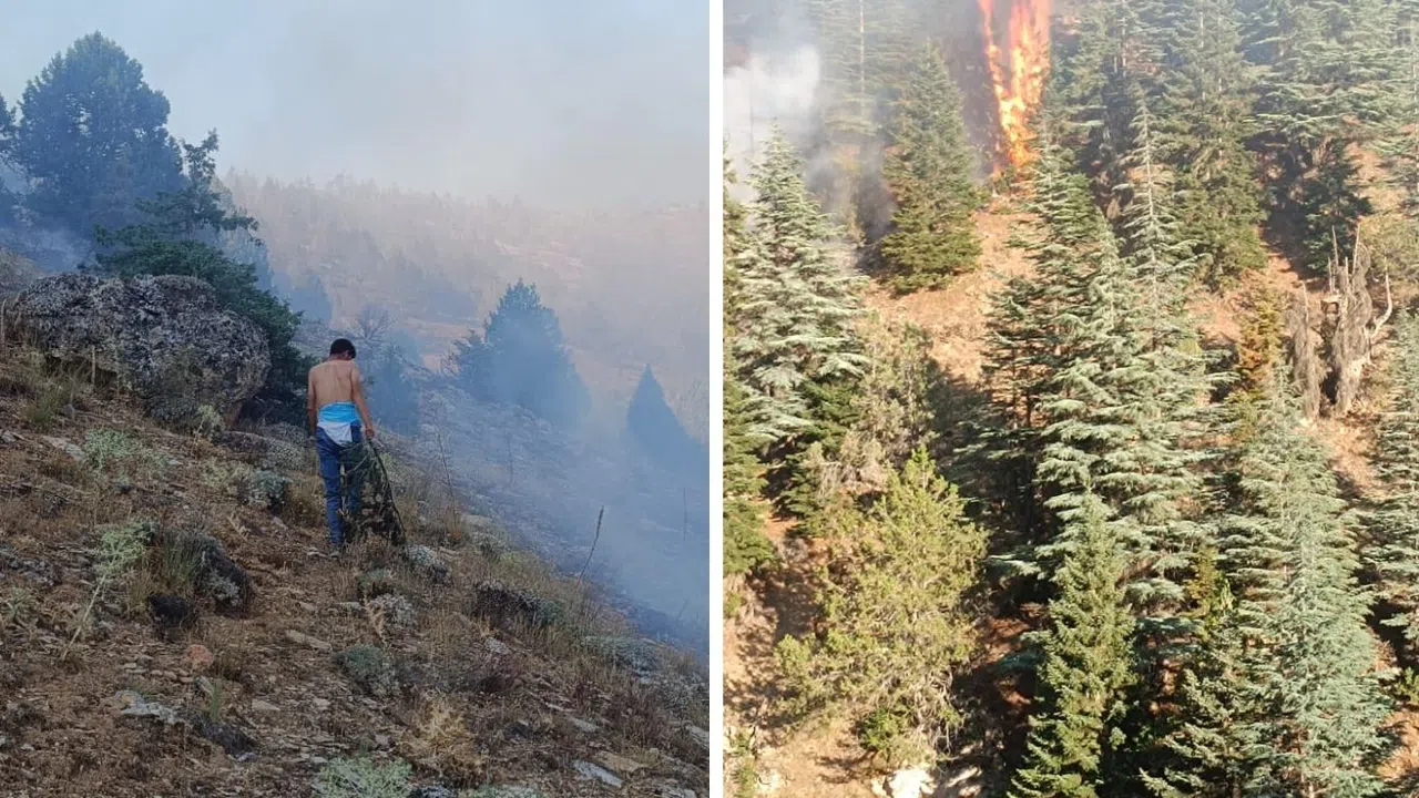 Göksun’daki Orman Yangını 3 Gün Sonra Söndürüldü