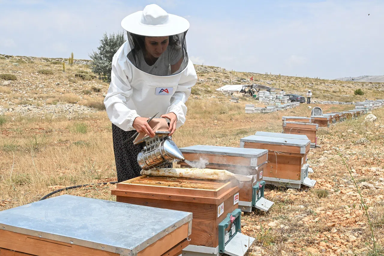 ‘Altın Kovan Projesi’ İle Arı Yetiştiriciliğine Destek