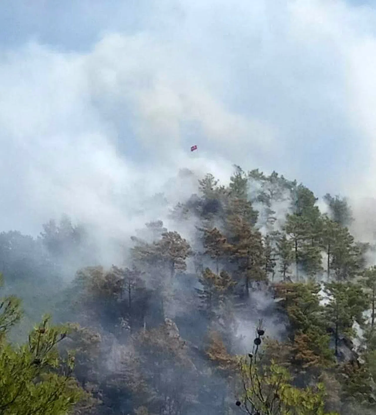 Bir Orman Yangını Daha