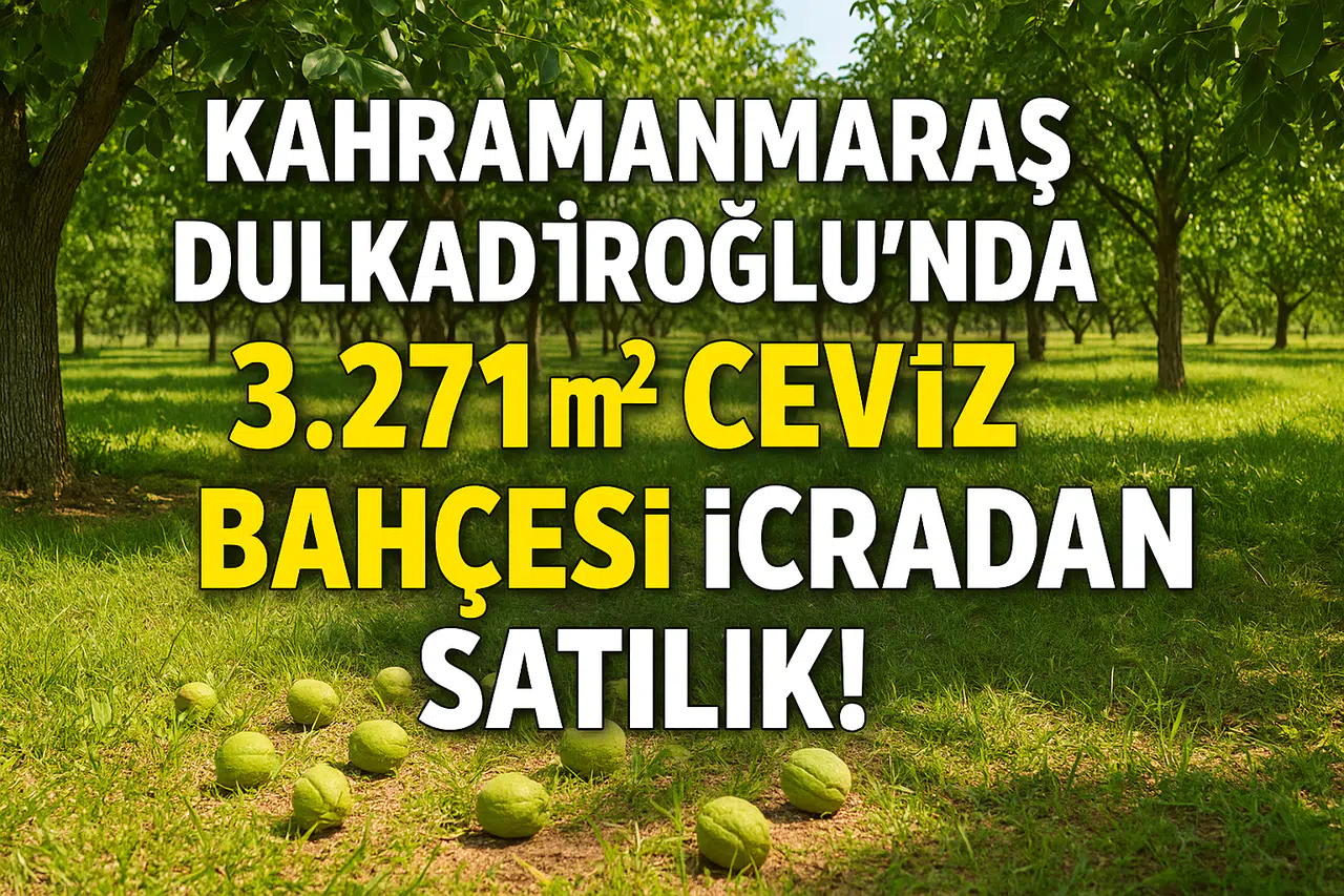 Kahramanmaraş Dulkadiroğlu’nda ceviz bahçesi icradan satışa çıktı: İşte fiyatı