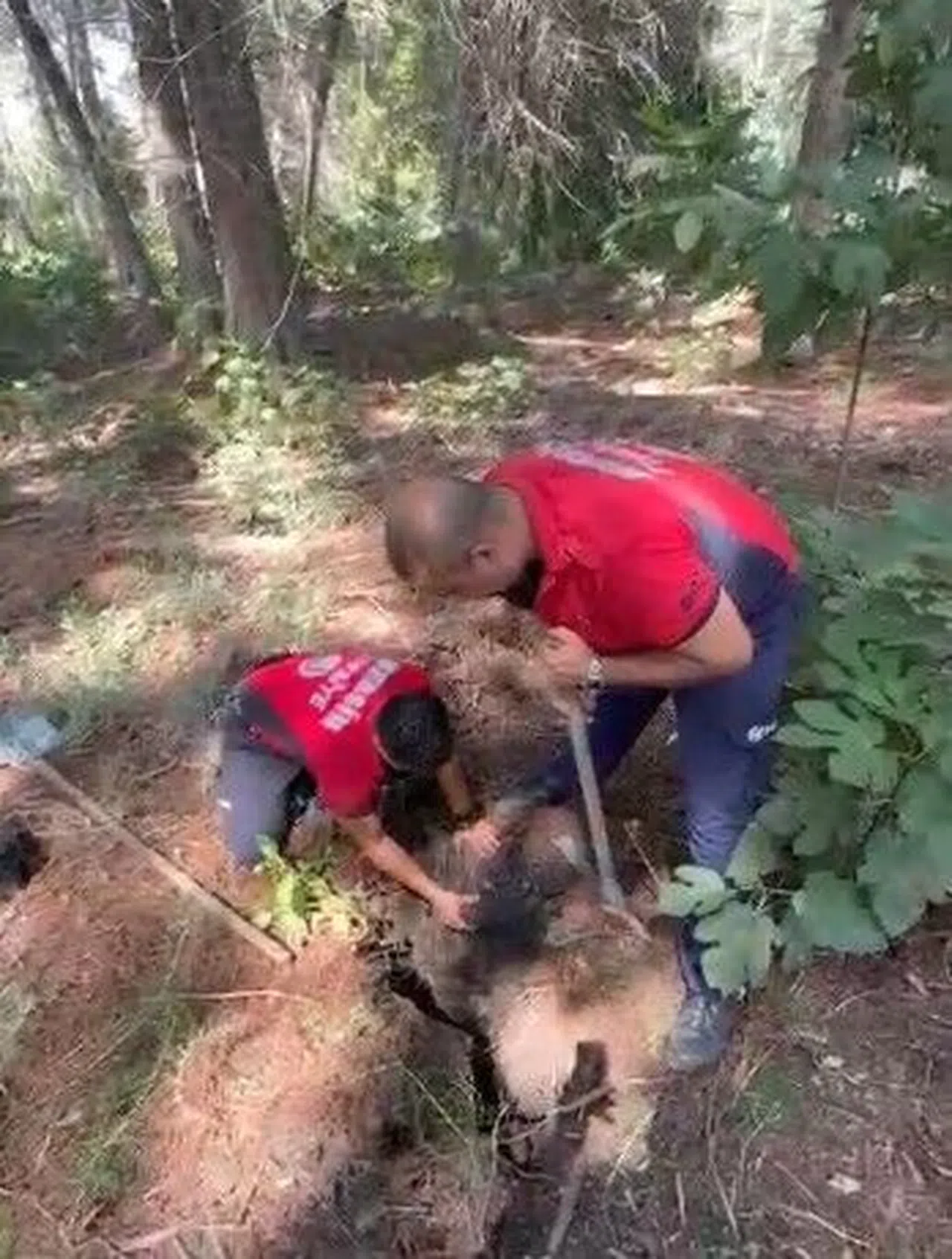 Çukura Düşen Yavru Köpek Kurtarıldı