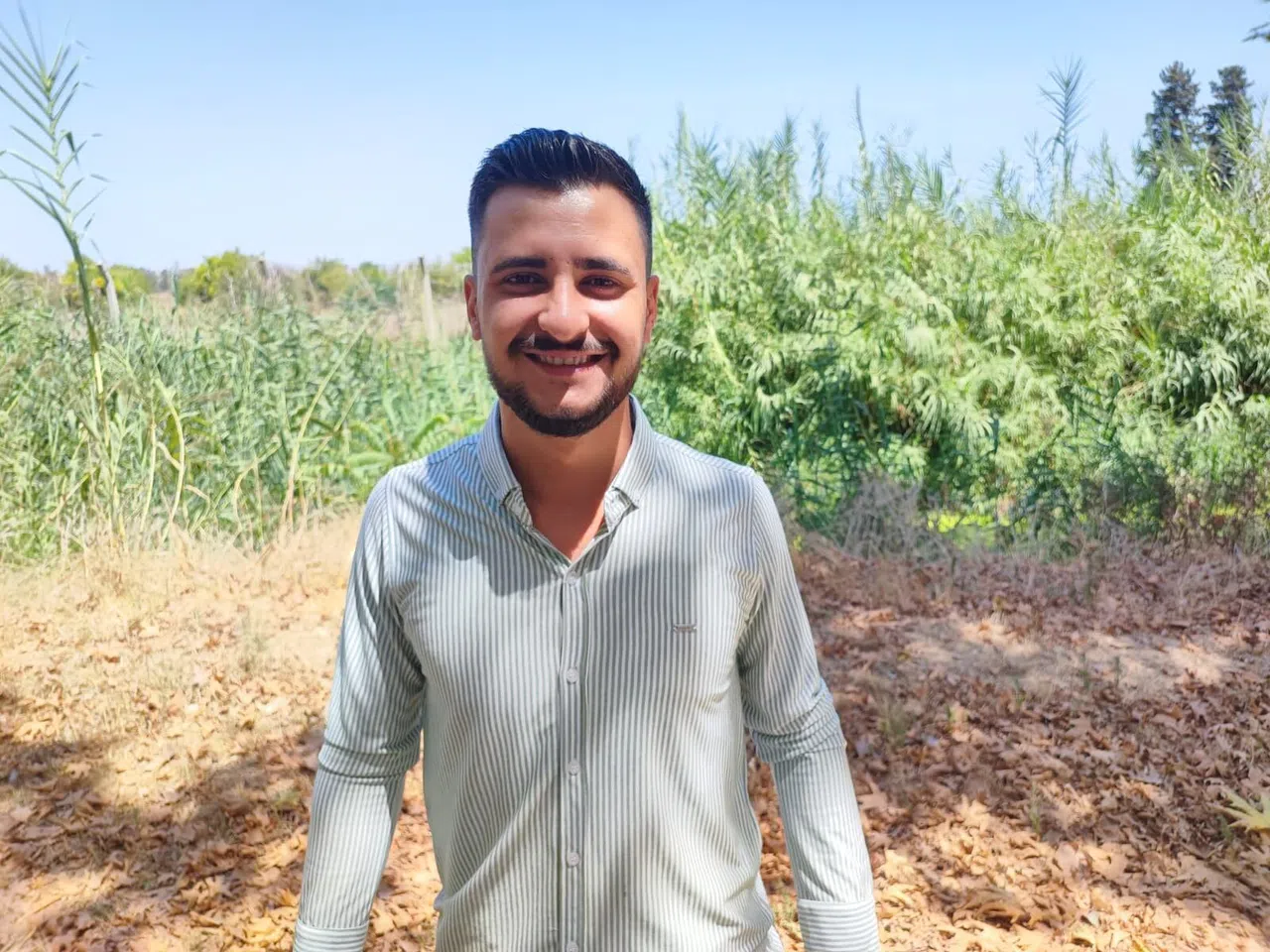 Domuzlar Girdi, Vatandaş Havlayarak Kovaladı