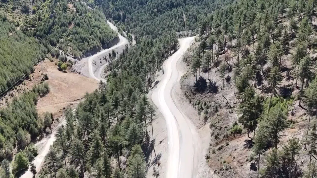 Ormanın Güzelliği 75 Yıl Sonra Ortaya Çıktı