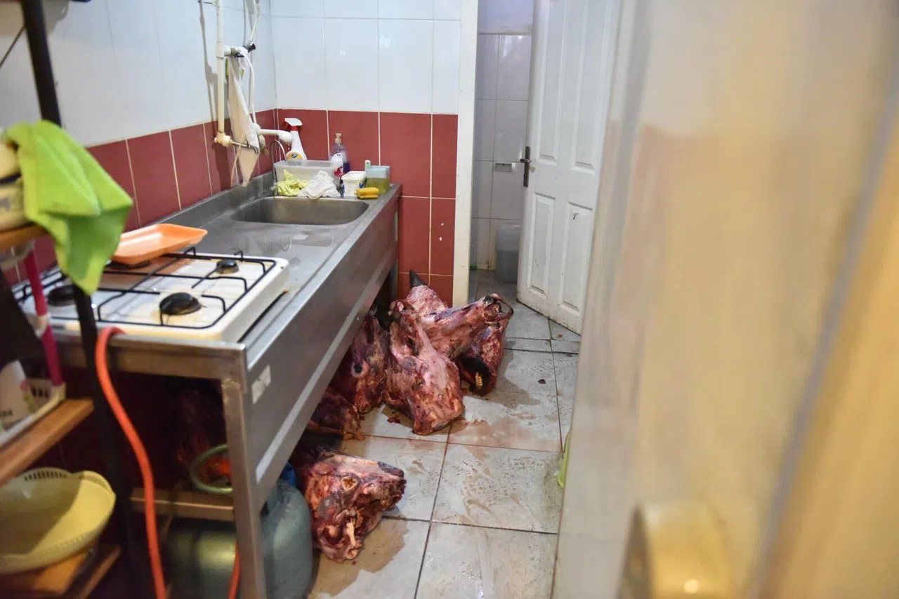 Hamam Böcekli Yumurta Depodaki İğrenç Görüntüyü Ortaya Çıkardı