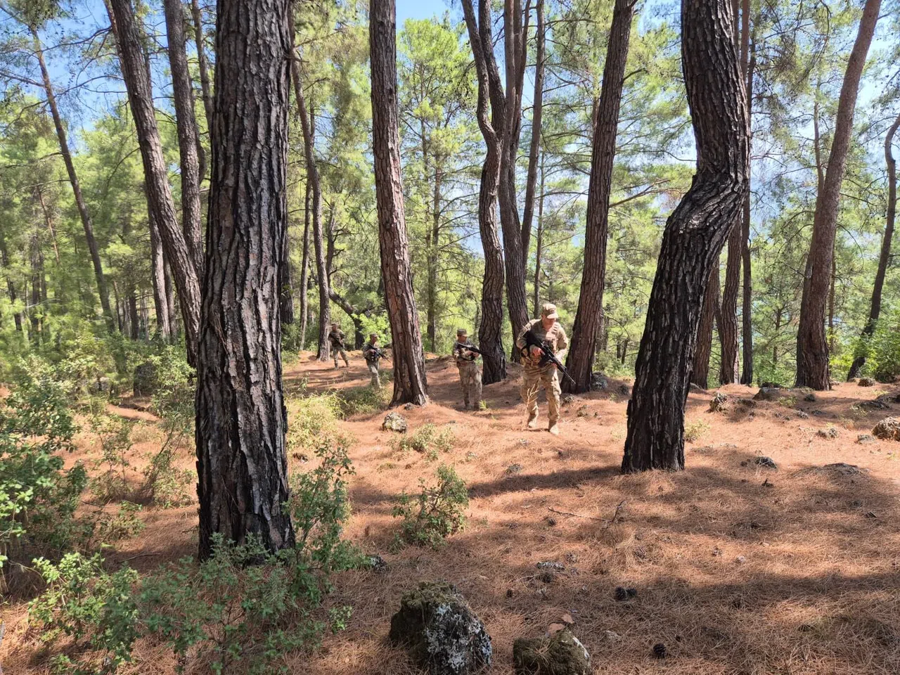 Jandarma Ekipleri Orman Yangınları İçin Teyakkuzda