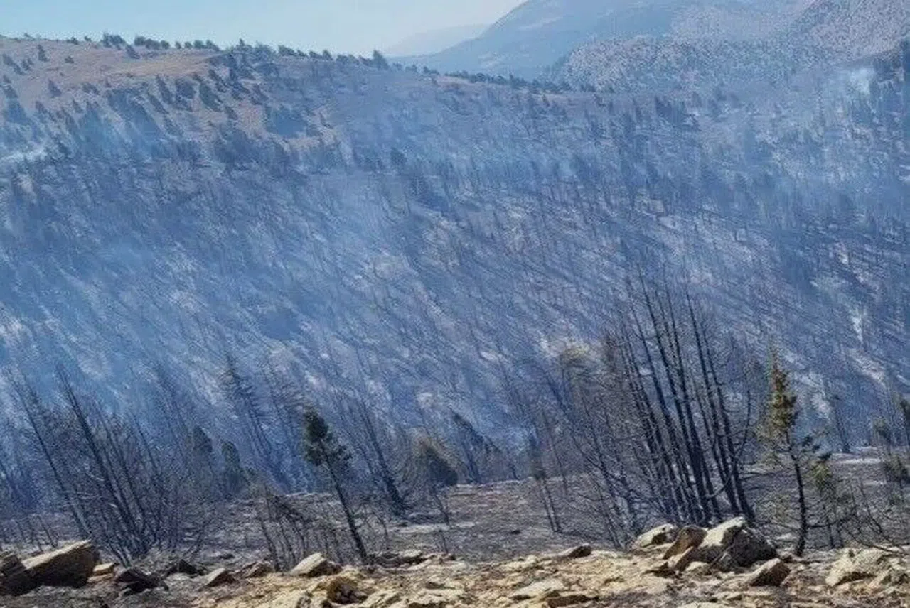 Kahramanmaraş Göksun’daki Orman Yangını Sürüyor