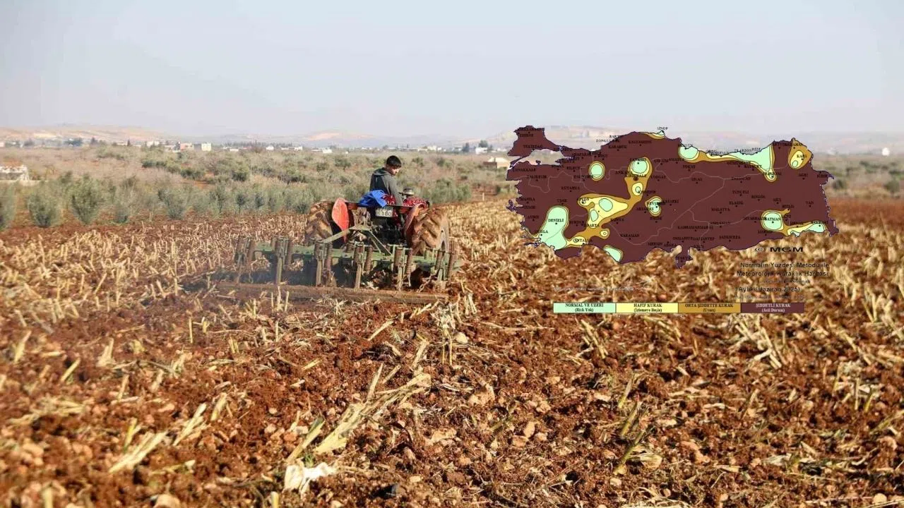 Kahramanmaraş’ta kuraklık tarımda büyük kayba yol açtı
