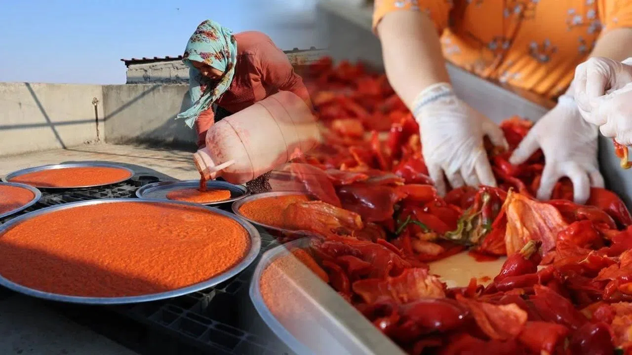 Kahramanmaraş’ta Salçalık Biber Satışları Başladı, İşte Fiyatlar