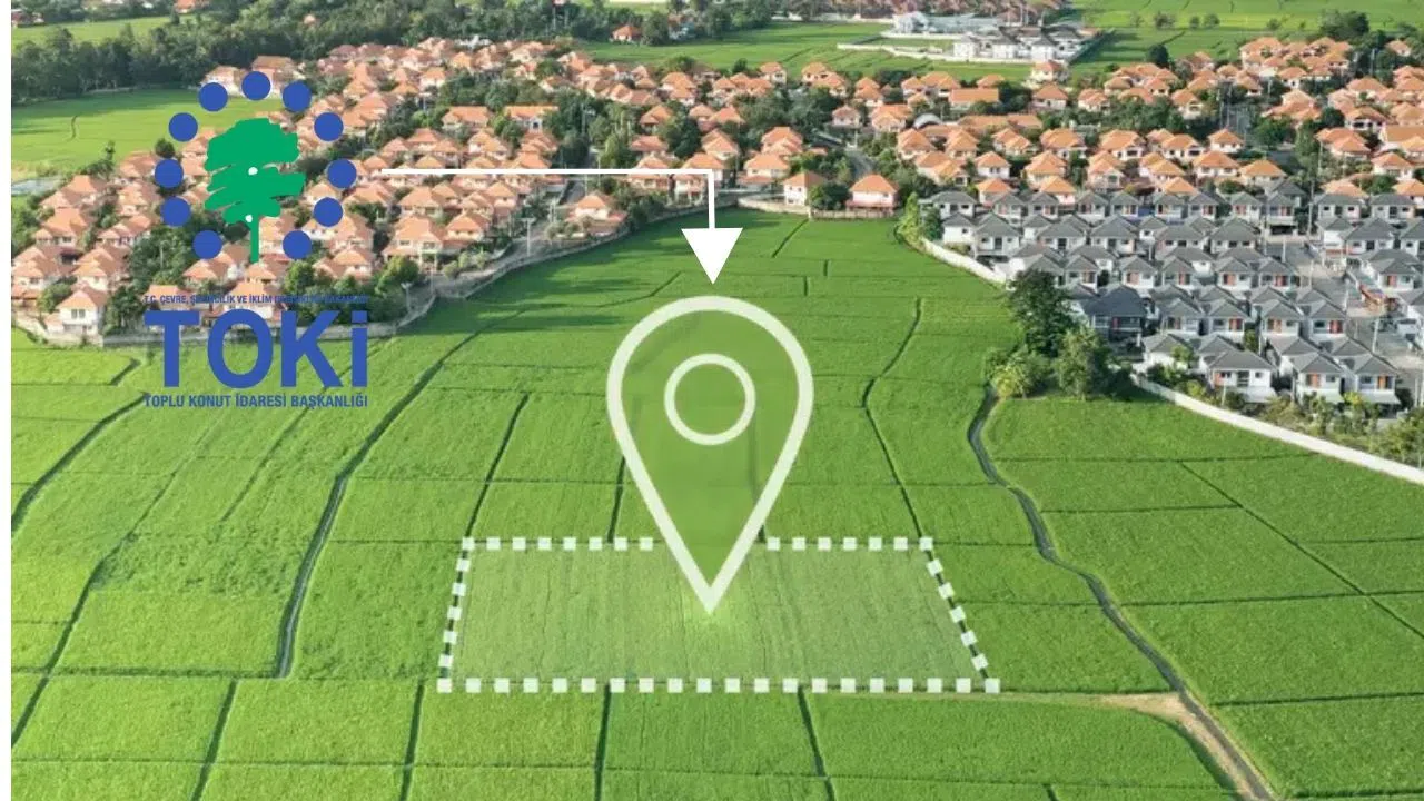 Başvuran Kahramanmaraş'ta ucuza bağ sahibi olacak: Mahkeme bu fiyatı istiyor