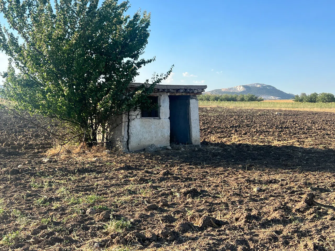Kayıp Çoban Kulübede Bulundu