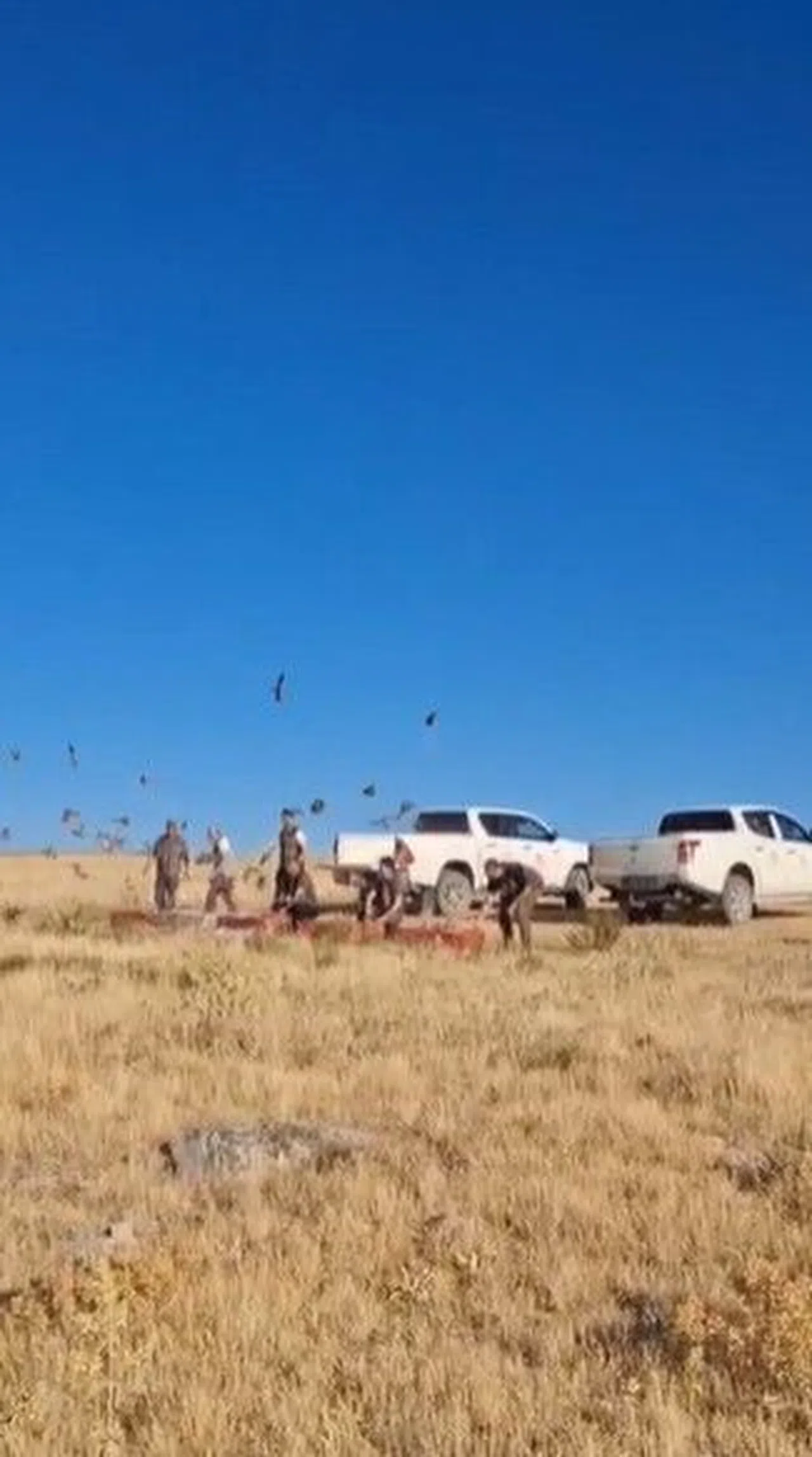 Kene İle Mücadele İçin Doğaya 200 Çil Keklik Salındı