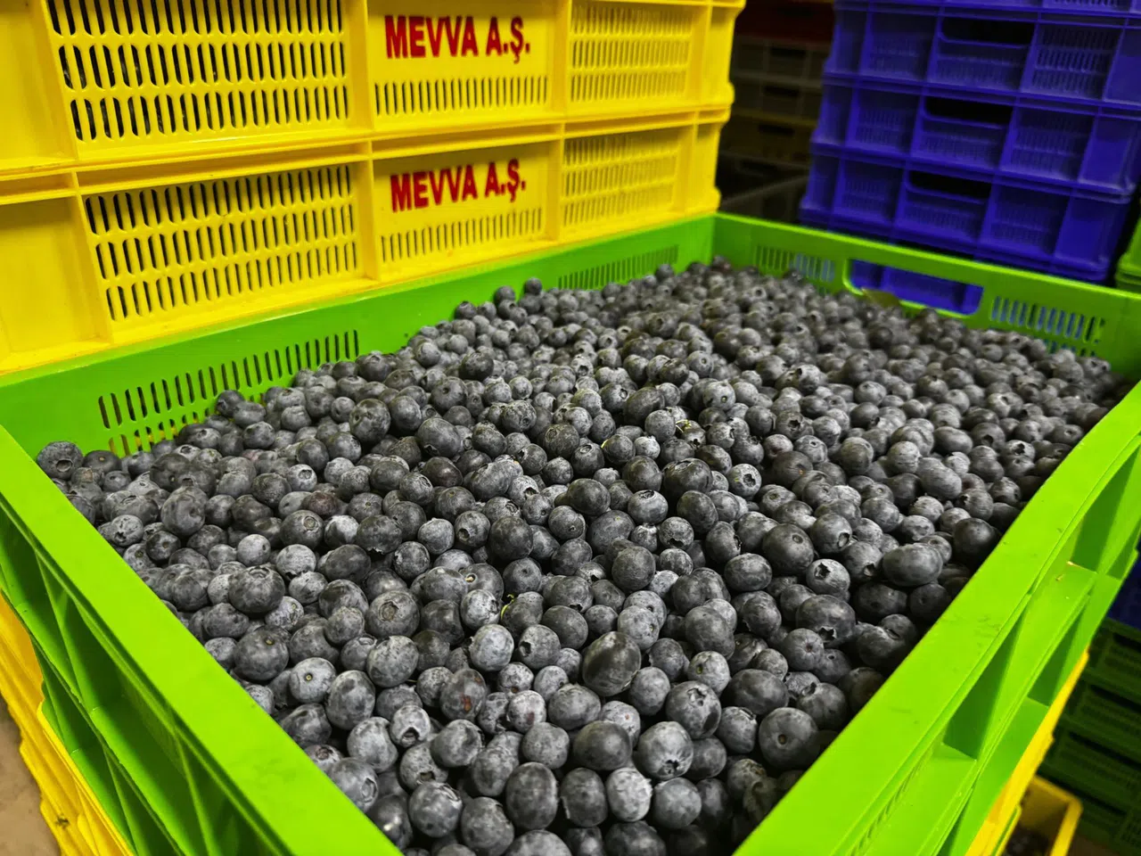 Küçük Bir Kasabadan Büyük Bir Pazara