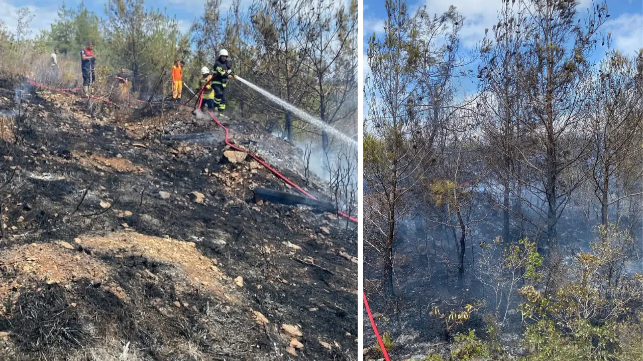 Ormanda Çıkan Yangın Kısa Sürede Kontrol Altına Alındı