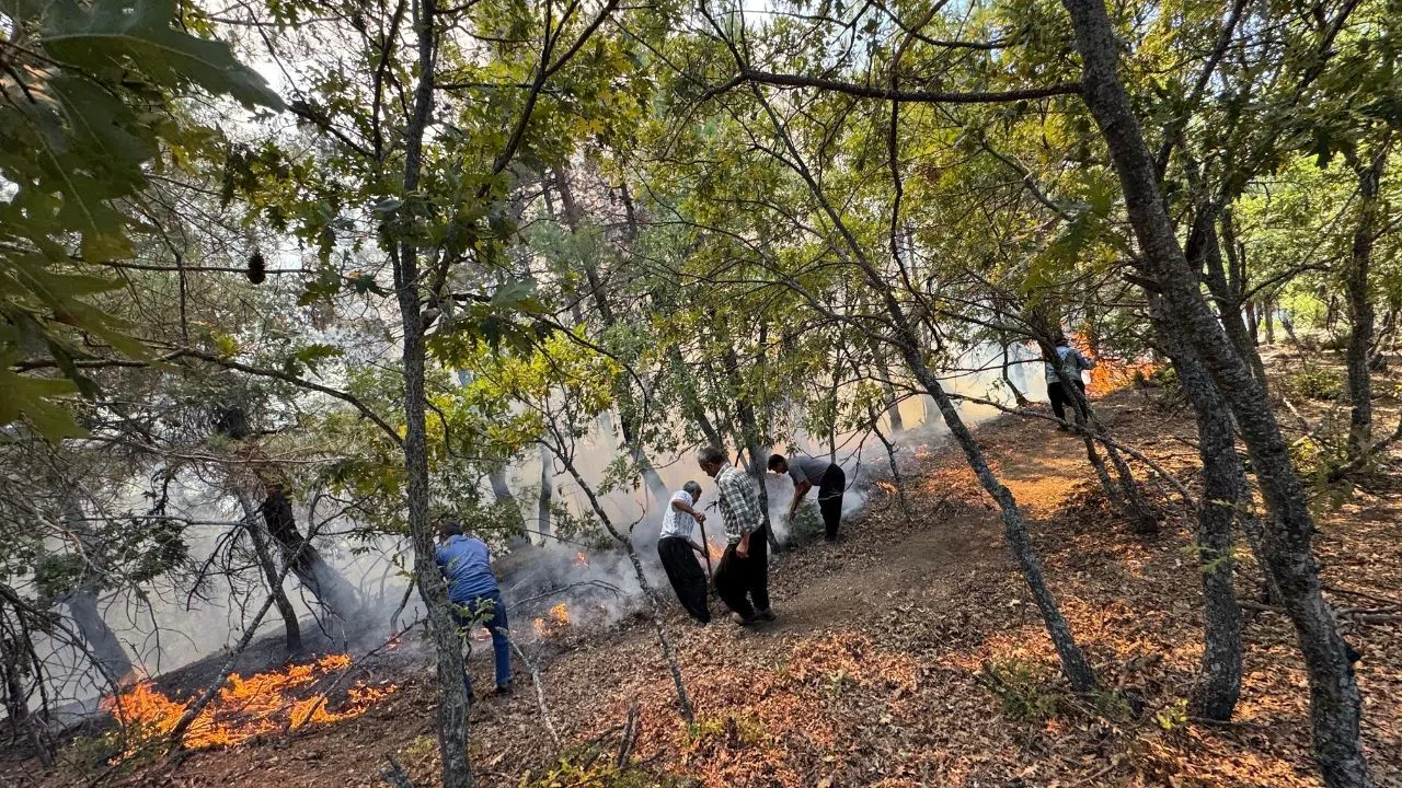 Ormanlık Alanda Çıkan Yangın Kontrol Altına Alınmaya Çalışılıyor