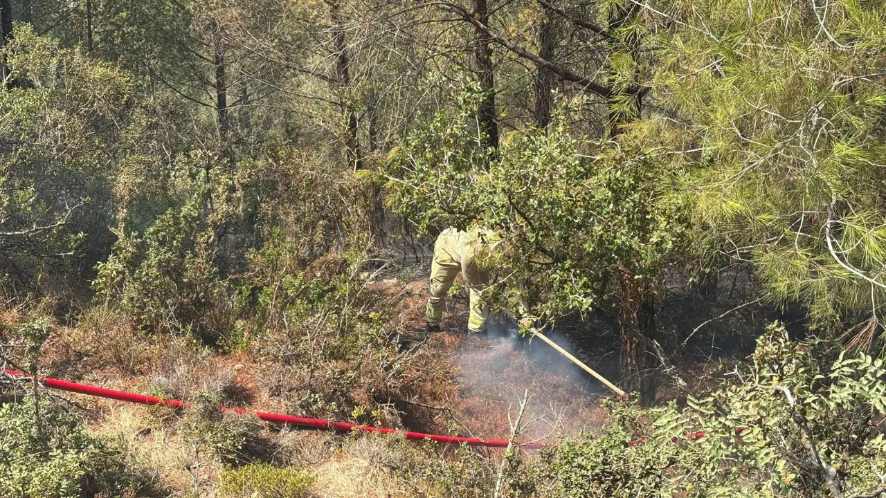 Ormanlık Alandaki Yangın Büyümeden Durduruldu