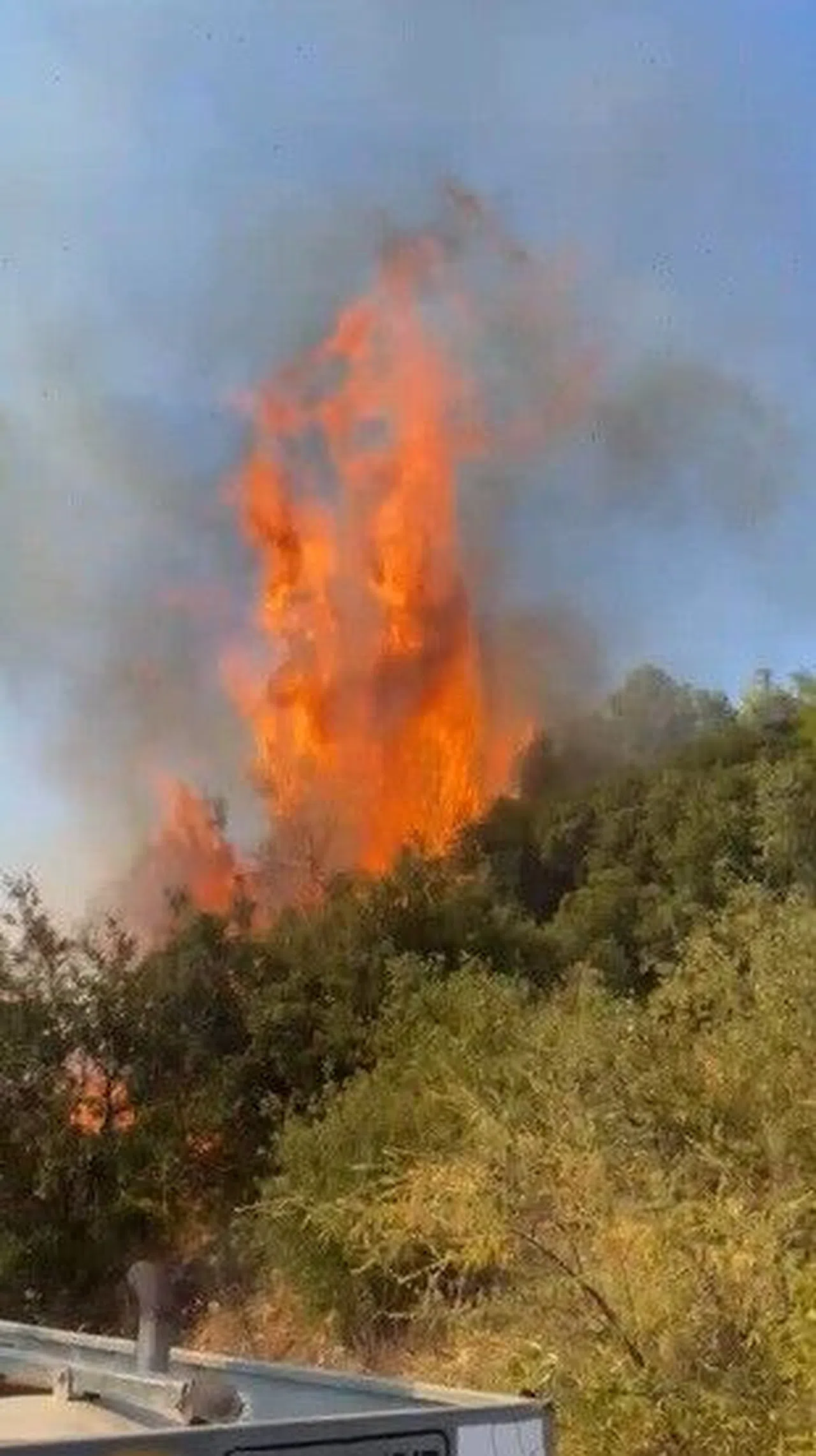 Örtü Yangını Ormanlık Alana Sıçramadan Söndürüldü