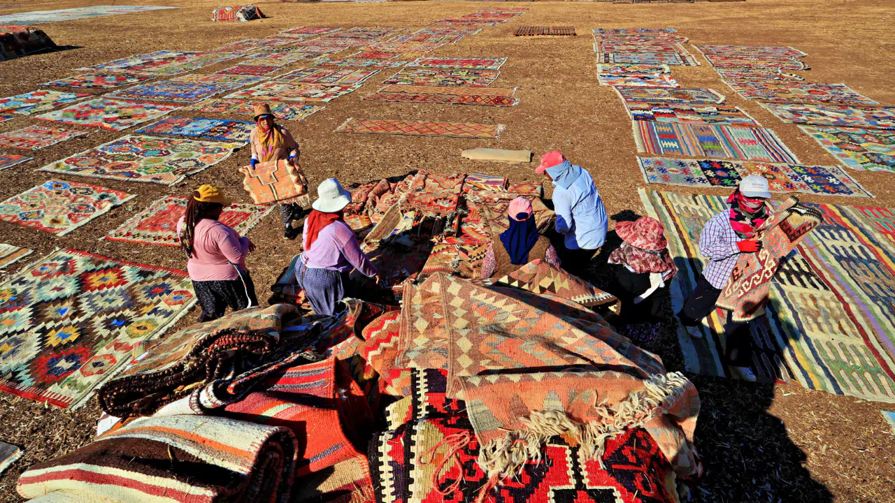 Rengârenk Halılar Tarlalarda Görsel Şölen Oluşturdu