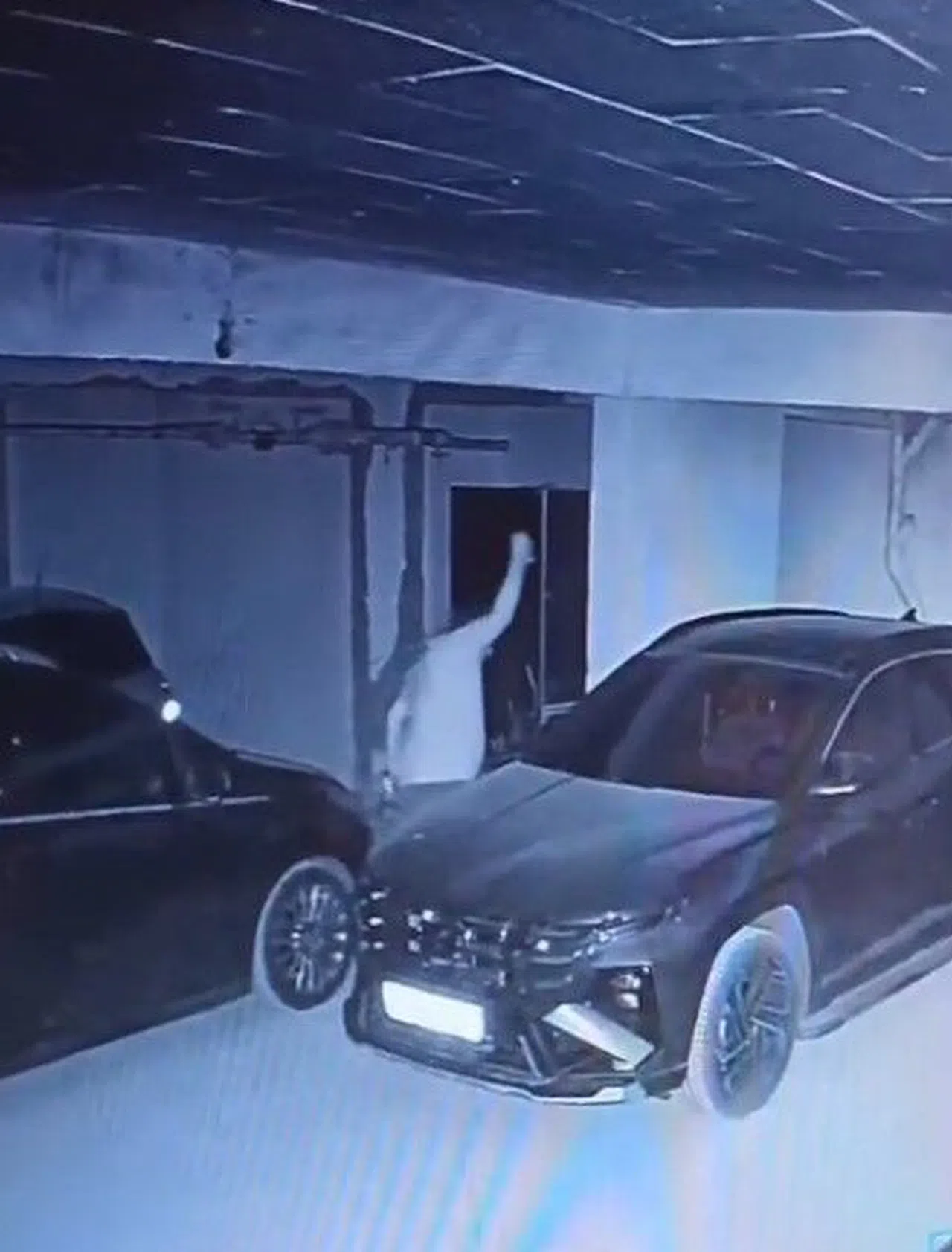 Sitenin Otoparkındaki Araçlara Zarar Veren Kişi Güvenlik Kamerasında