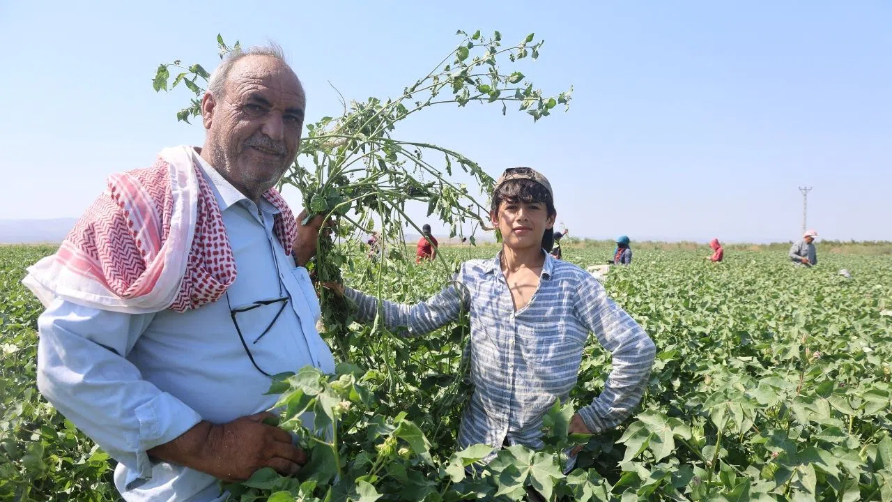 Tarım İşçilerinin Zorlu Mesaisi