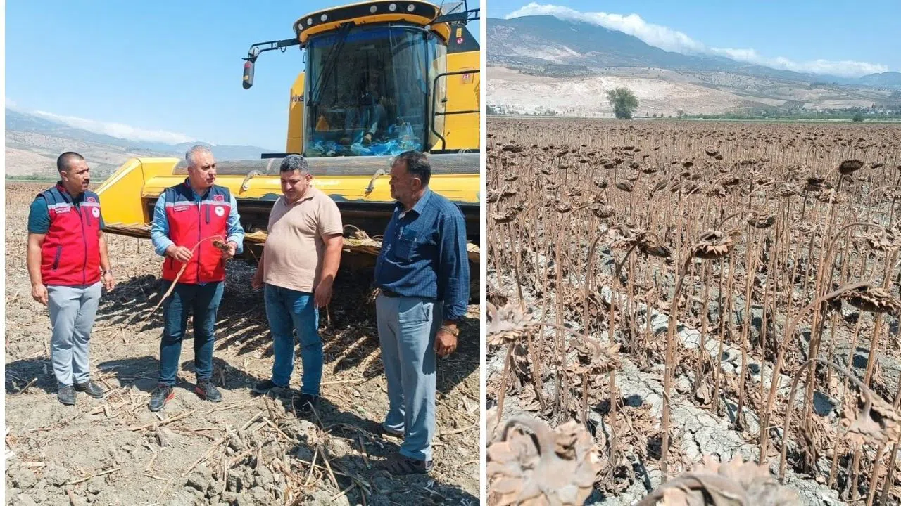 Tarım Müdürü Türkmen Çiftçilerle Buluştu