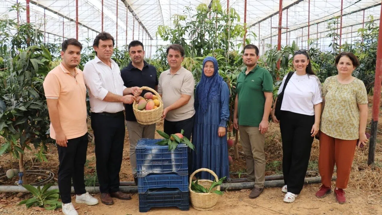Türkiye’de Tropikal Meyve Üretiminde Yeni Dönem