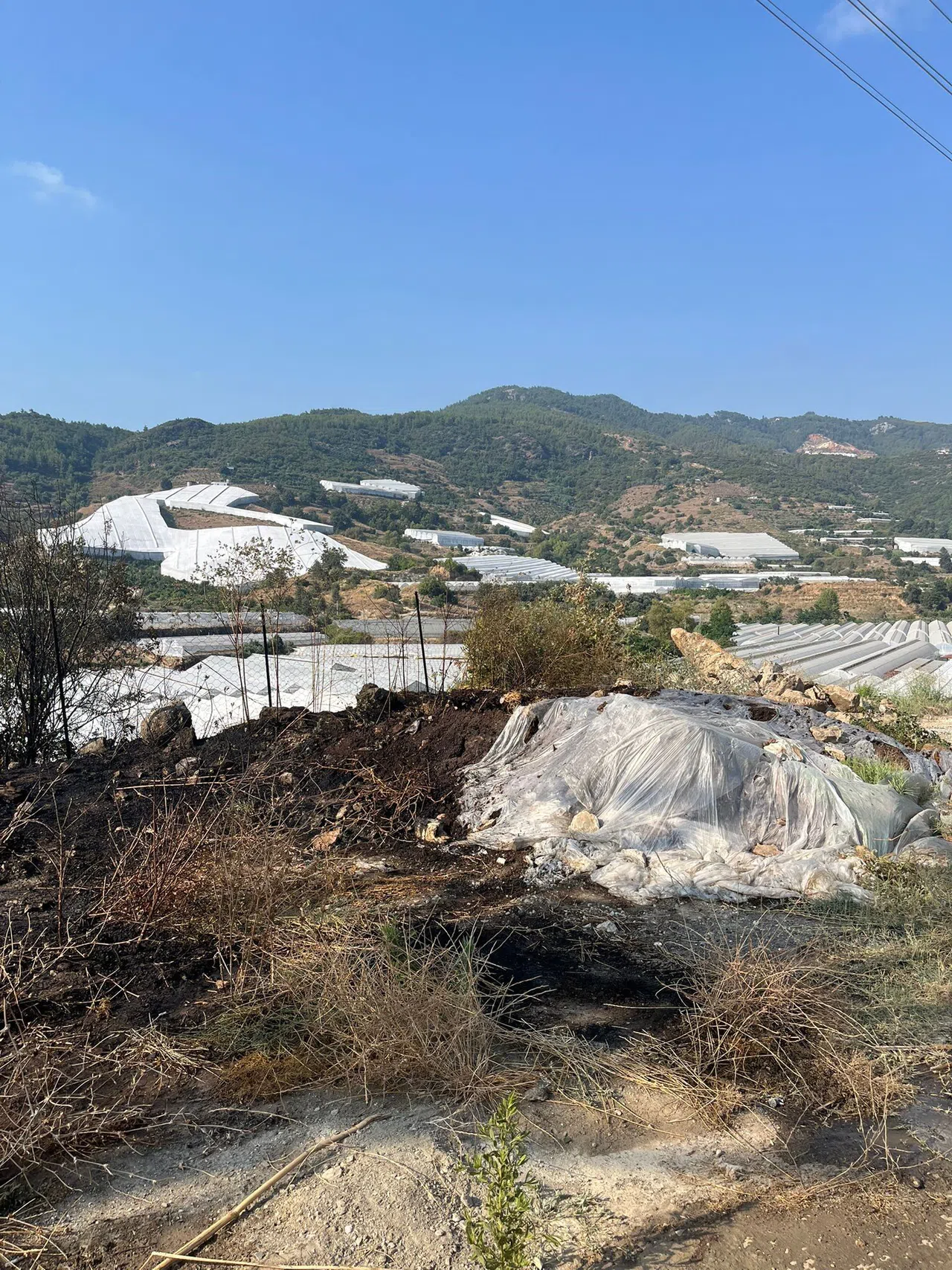 Otluk Alanda Çıkan Yangın Büyümeden Söndürüldü