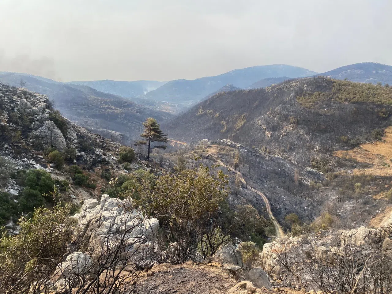 Yangın Büyük Ölçüde Kontrol Altına Alındı