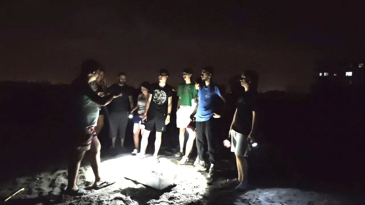 Yavru Kaplumbağalar Gönüllüler Tarafından Denize Ulaştırılıyor