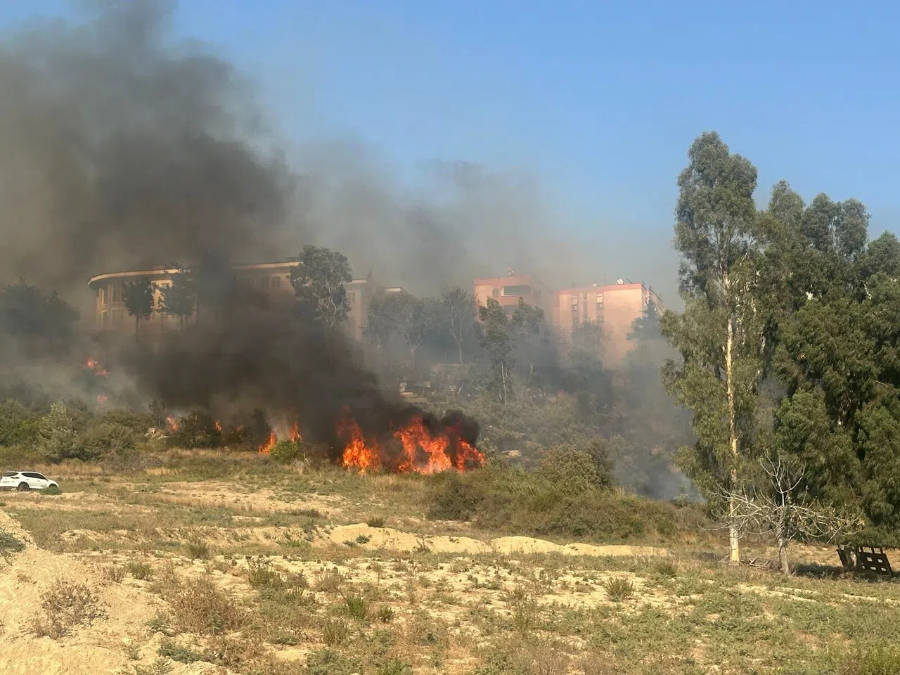 Yerleşim Yeri Çevresinde Ağaçlık Alanda Çıkan Yangın Korkuttu