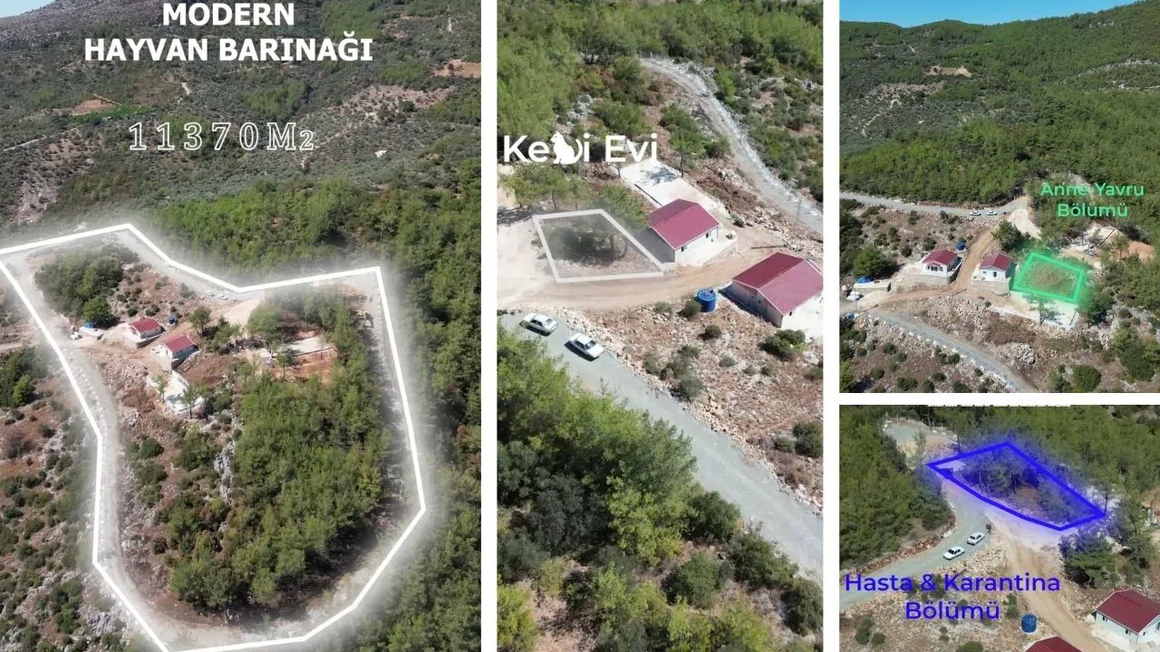 11 Bin 500 Metrekarelik Barınakta Çalışmalar Tamamlanıyor