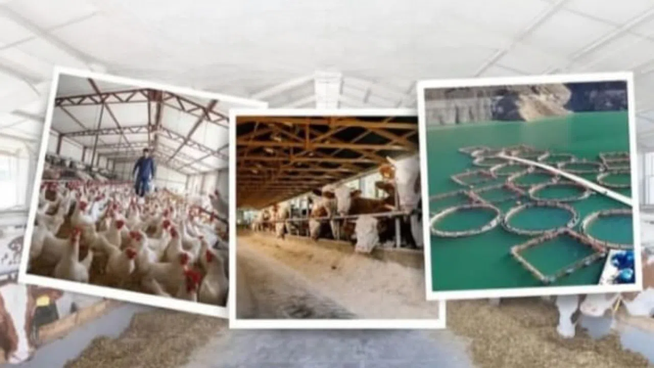 AB Destekli IPARD III’ten 50 Milyon Avro’luk Hibe Çağrısı