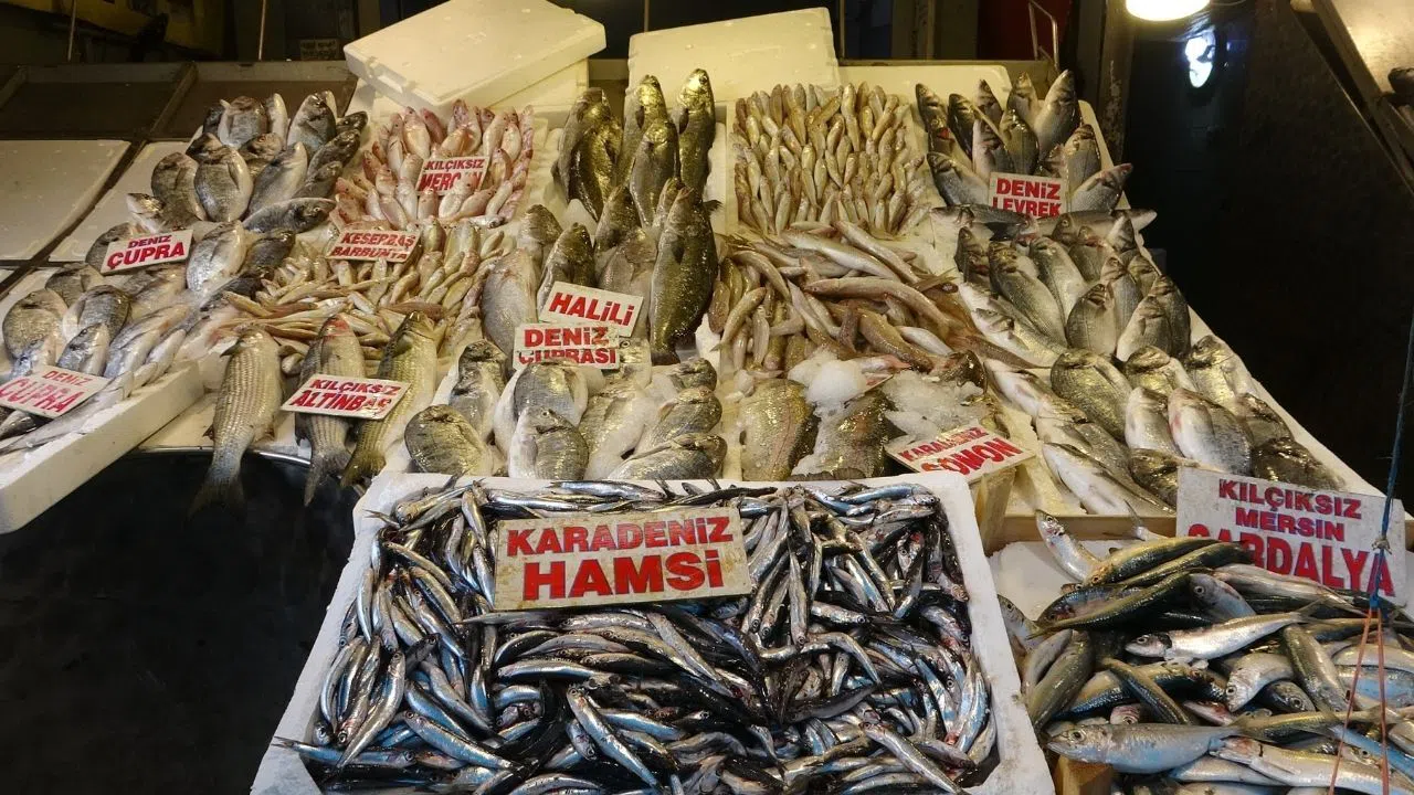 Akdeniz’de Av Yasağı Bitti, Balıkçı Tezgahları Şenlendi