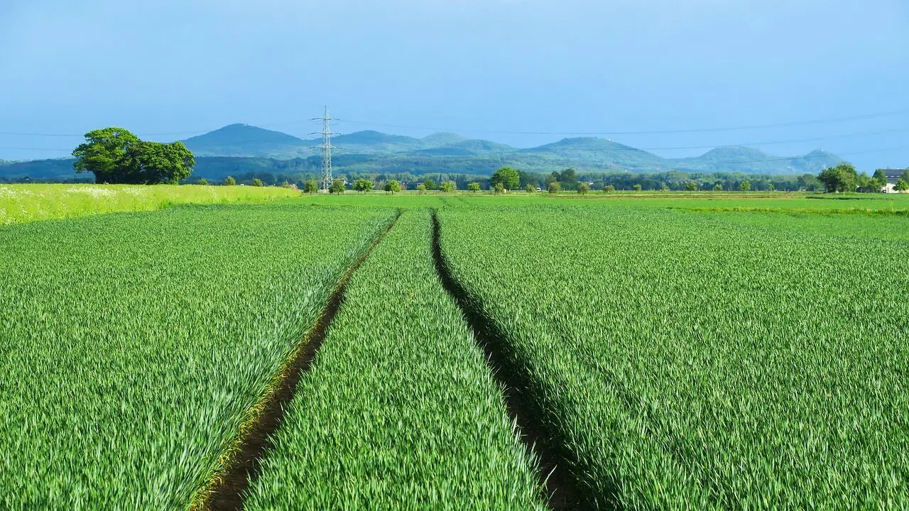 Kahramanmaraş'ta 10 dönüm alan araç fiyatına satılacak: Mahkeme sadece bu rakamı istedi