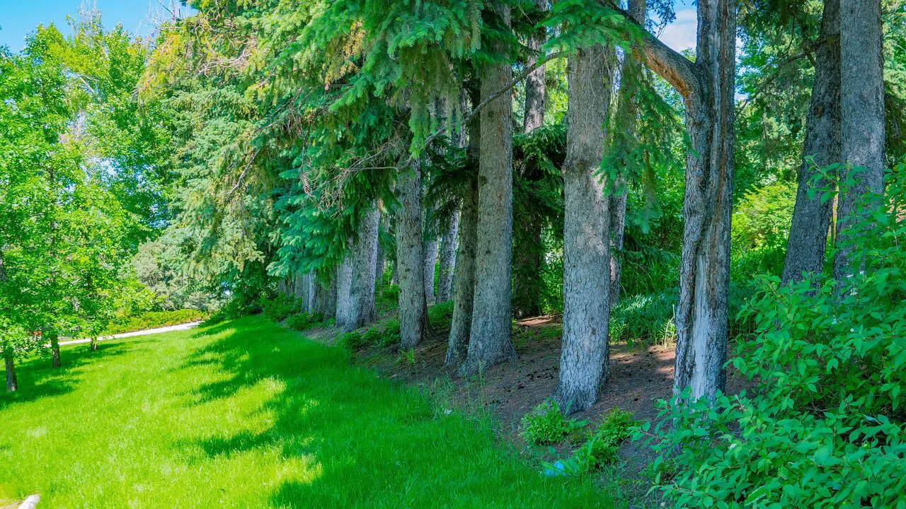 Kahramanmaraş'ta 35 dönüm bahçe için istenen rakam açıklandı