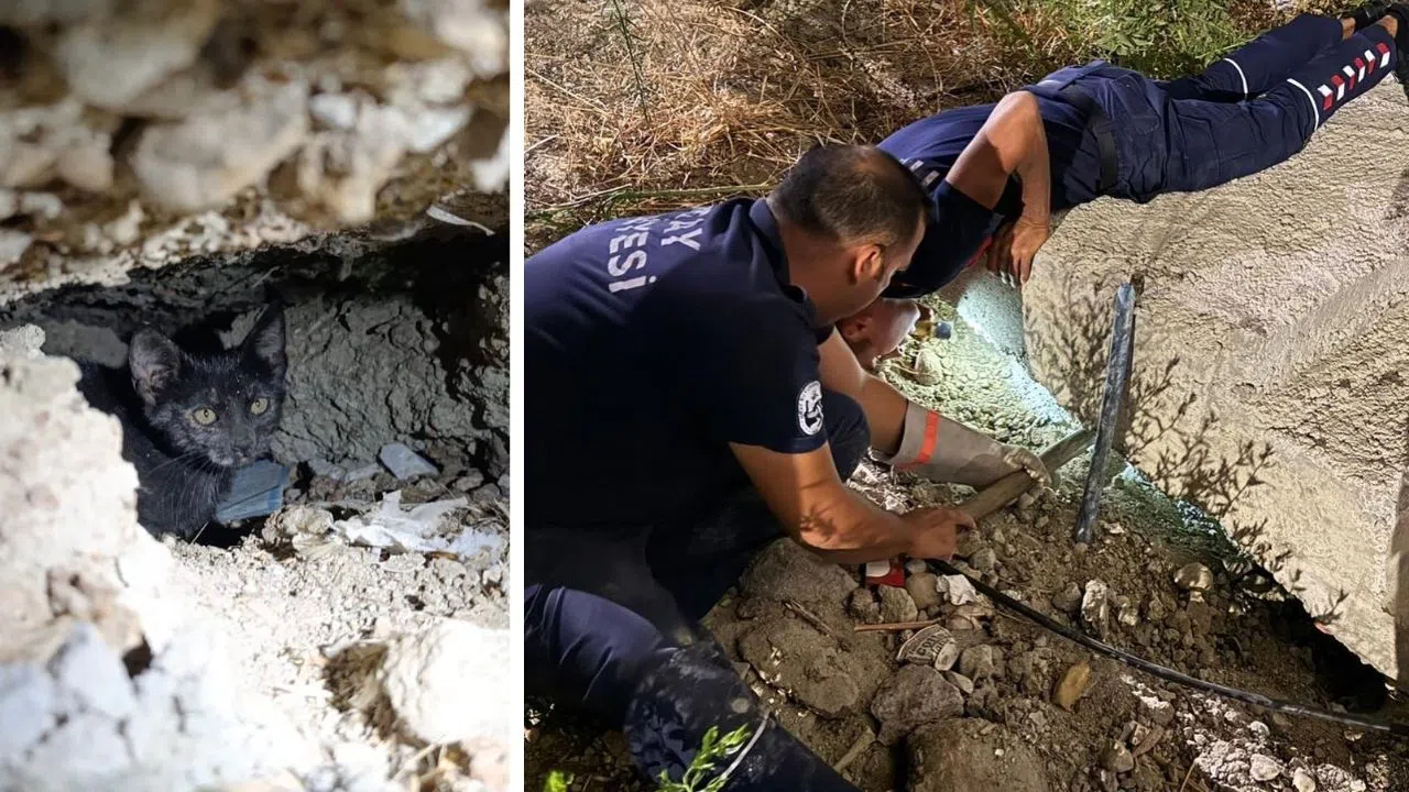 Beton Boruya Sıkışan Kedi İtfaiyenin Çabasıyla Kurtarıldı