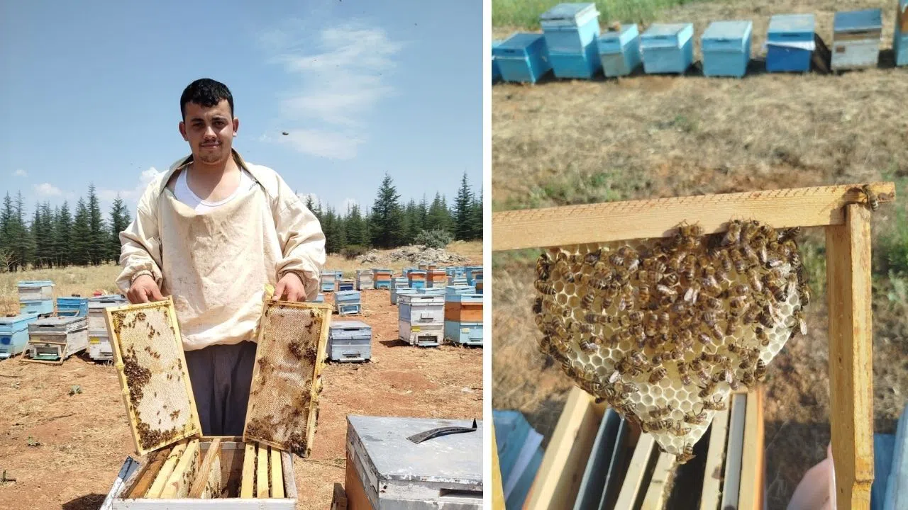 Bilgisayar Mezunu Baba Mesleği Arıcılığı Tercih Etti
