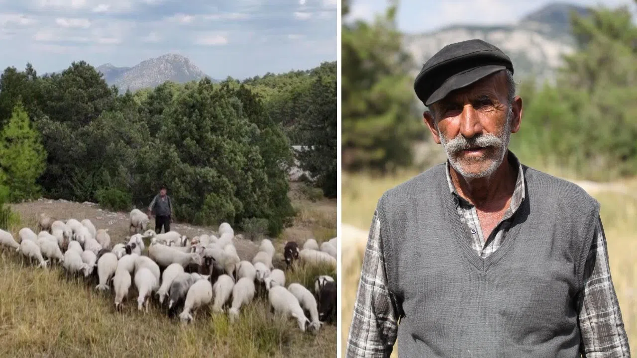 Çobanlık Onun İçin Hem Geçim Hem Yaşam Biçimi