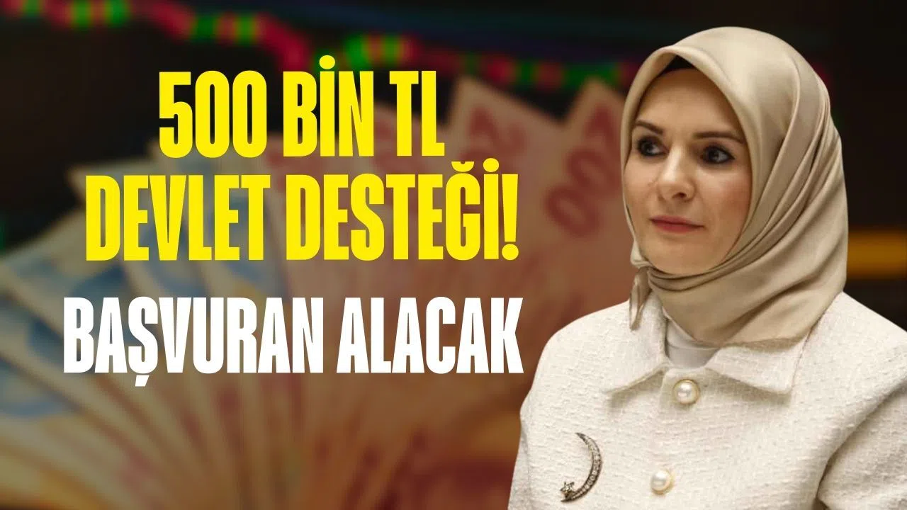 500 bin TL devlet desteği! TC kimlik numarasıyla başvuru yeterli