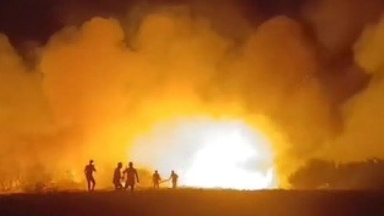 Elektrik Tellerinden Çıkan Yangın Ormanlığa Sıçradı