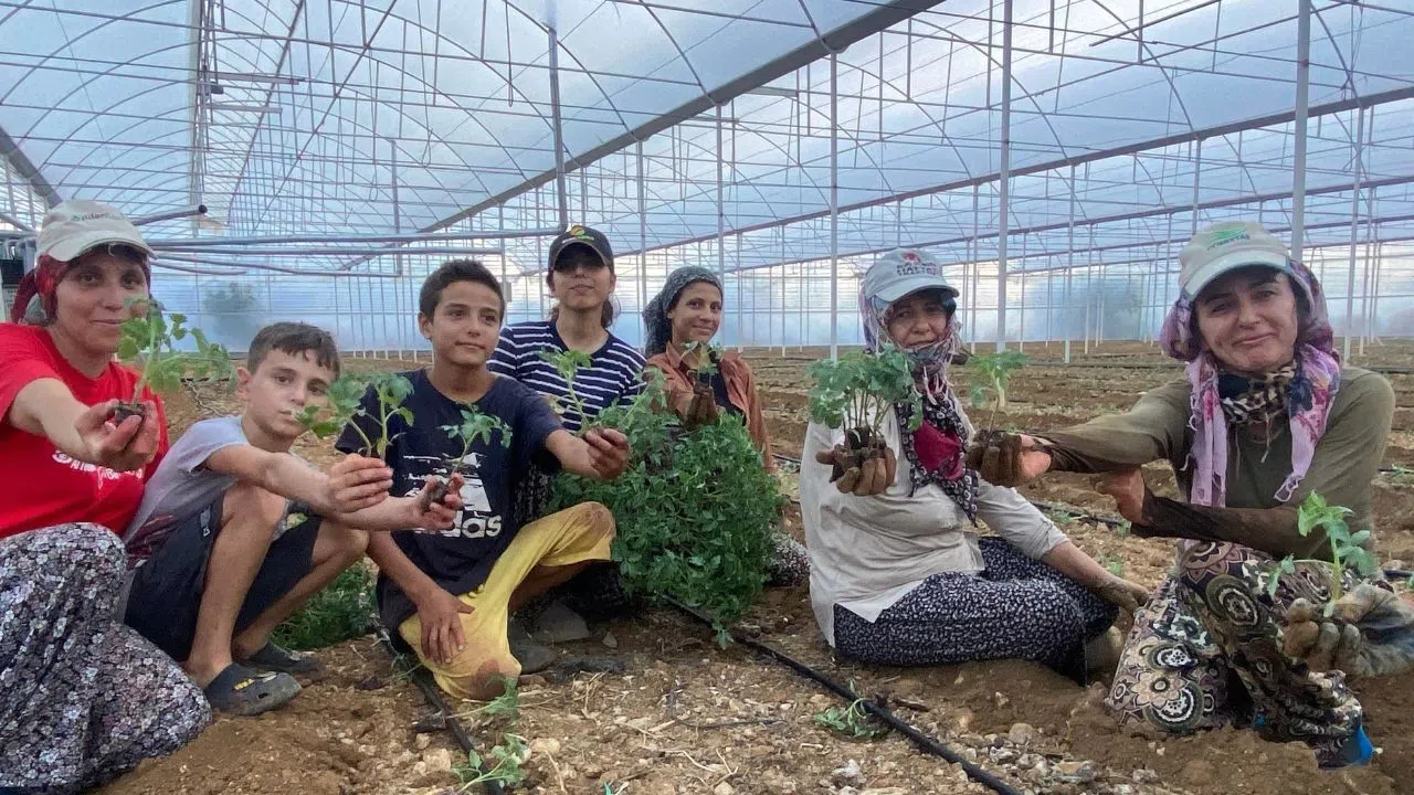 Güzlük Fide Dikimleri Başladı