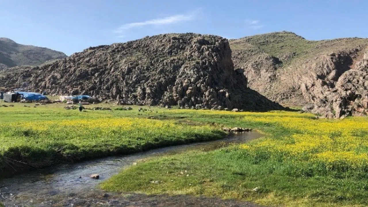 Kahramanmaraş'ın Zirvesinde Serin Cennet: Yaşıl Yaylası