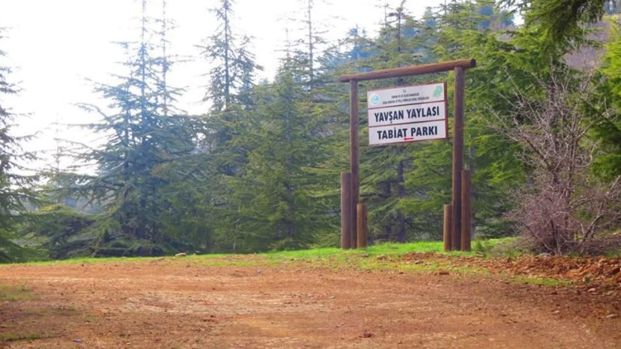 Kahramanmaraş’ın Yükseklerinde Bir Doğa Harikası: Yavşan Yaylası