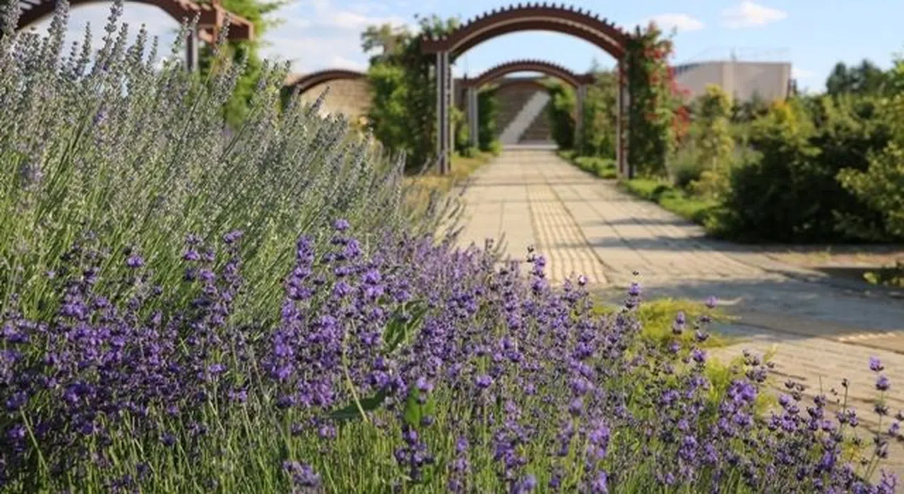 Kahramanmaraş’ta Morun Büyüsü: Diyar-ı Destan