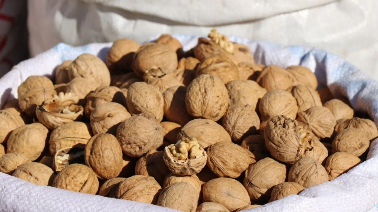 Kahramanmaraşlılar Dikkat! Eski Mahsul Yeni Diye Satılabilir