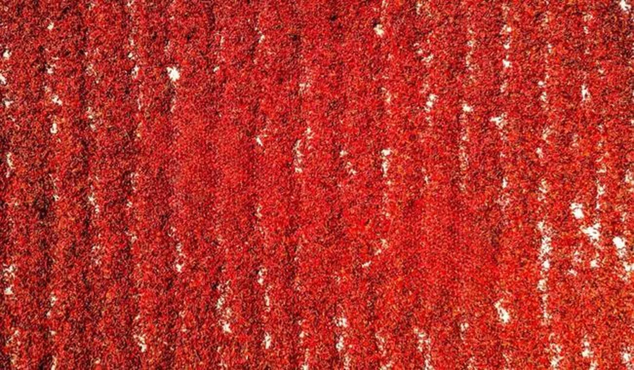 Kahramanmaraş’ta Kurutmalık Biberler Kırmızıya Boyadı