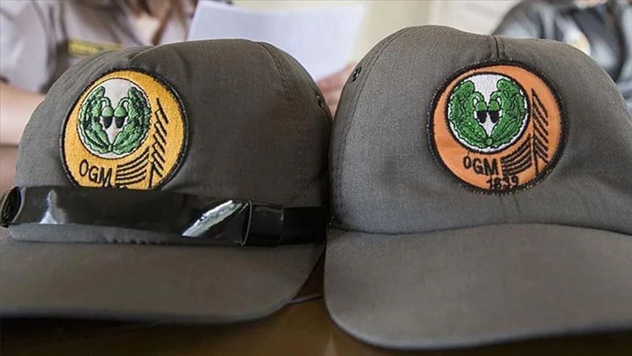 Kahramanmaraş’ta Orman Genel Müdürlüğü İşçi Alacak