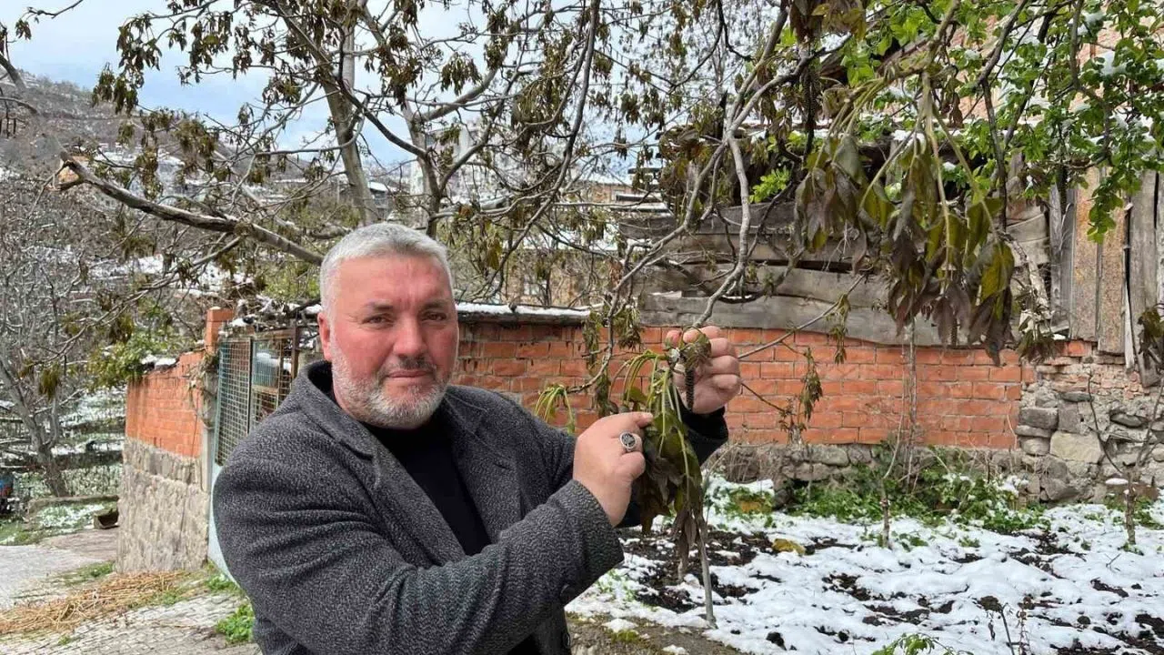 Kahramanmaraş’ta Zirai Dondan Etkilenen Çiftçilere Destek Verilecek